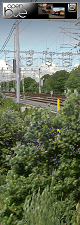 Inset Image